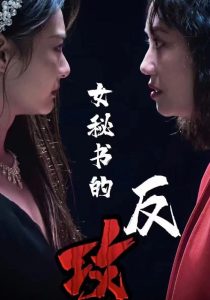 女秘书的反攻 第13集